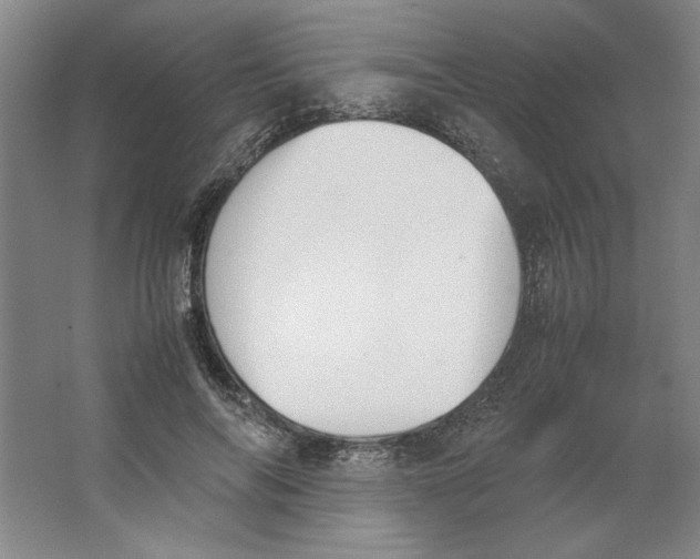 X0000062150694200512301553
