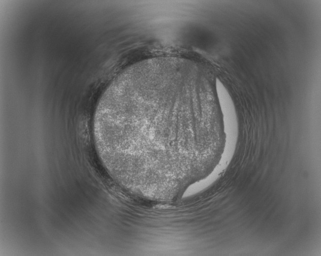 X0000062150699200512301553