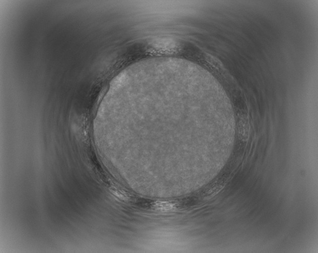 X0000062150701200512301553