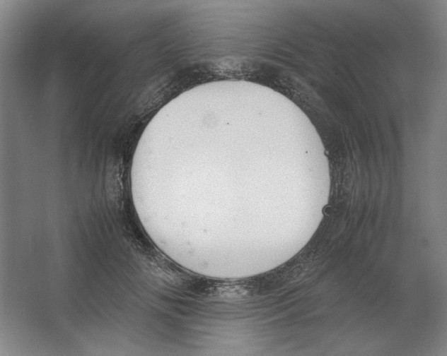 X0000062150702200512301553