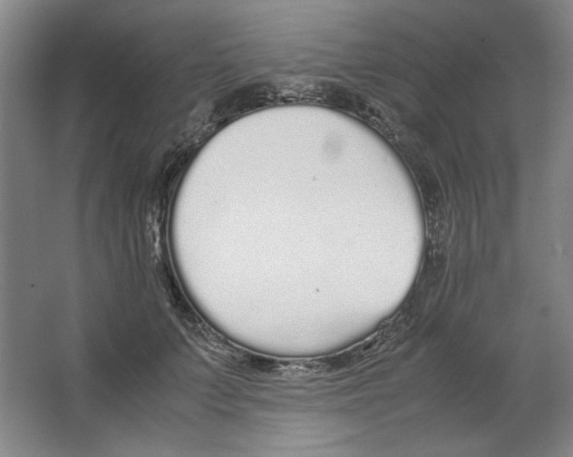 X0000062150703200512301553