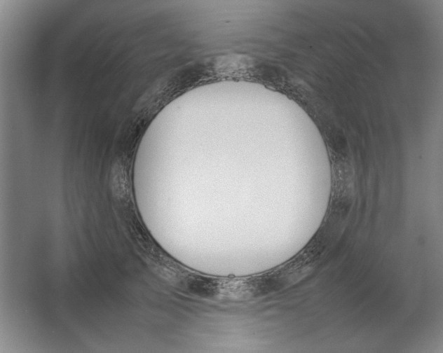 X0000062150705200512301553