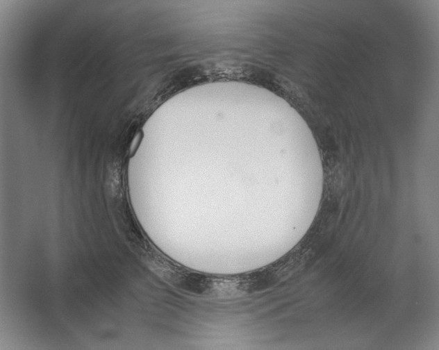 X0000062150709200512301553