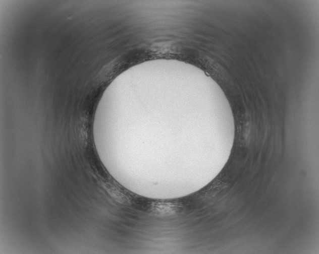 X0000062150710200512301553