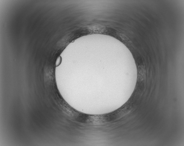 X0000062150713200512301553