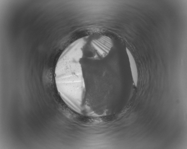 X0000062150715200512301553