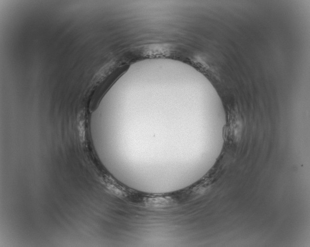 X0000062150716200512301553