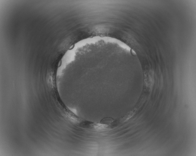 X0000062150718200512301553