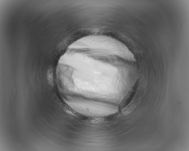X0000062150720200512301553