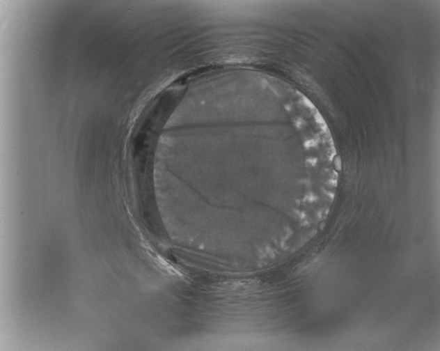 X0000062150721200512301552