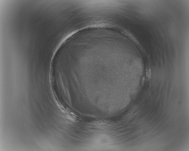 X0000062150724200512301552