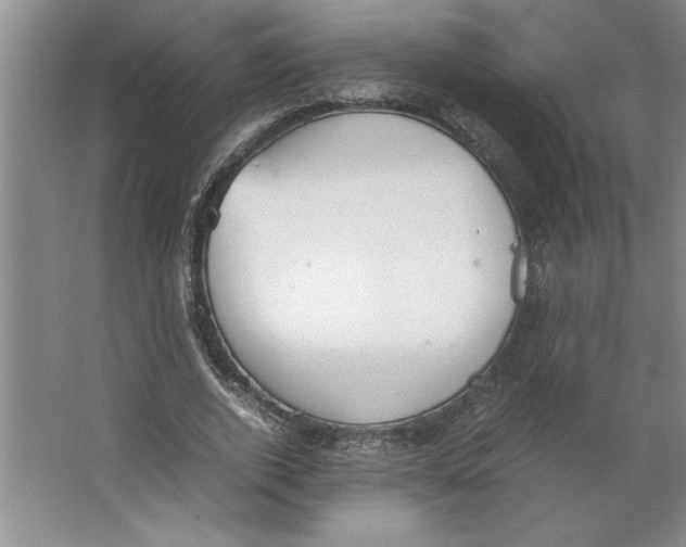 X0000062150728200512301552