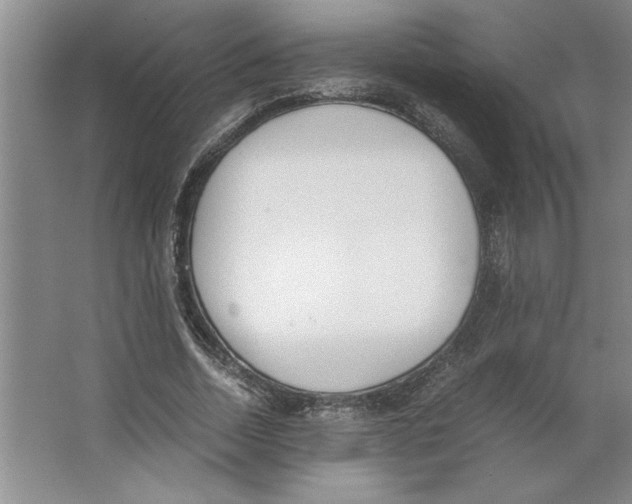 X0000062150730200512301552