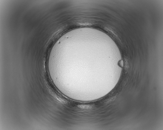 X0000062150733200512301552