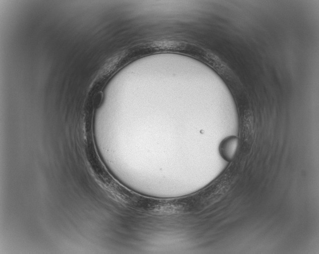 X0000062150734200512301552