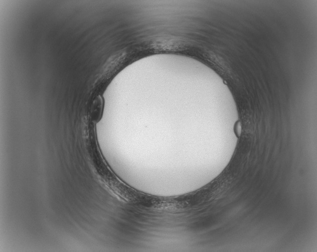 X0000062150738200512301552