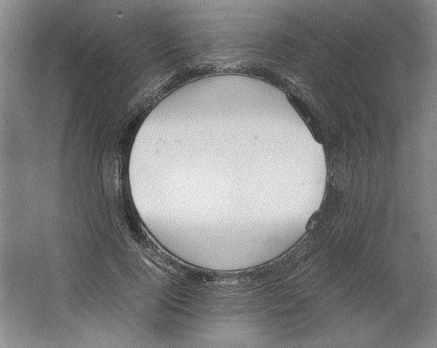 X0000062150740200512301553