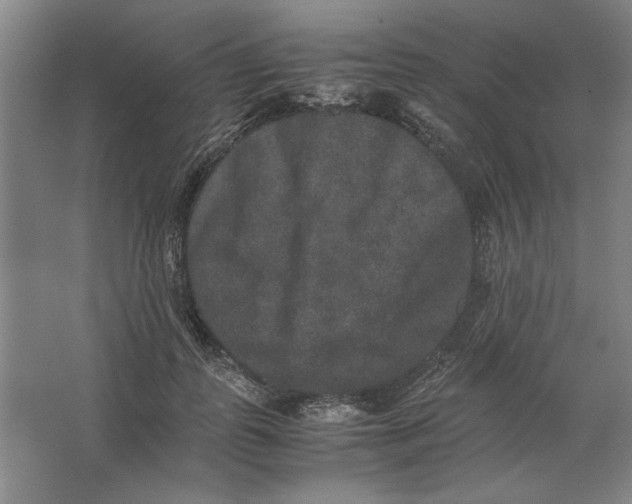 X0000062150747200512301553