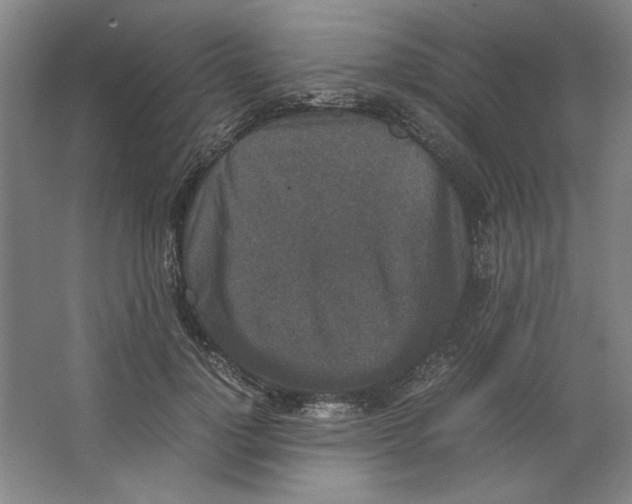 X0000062150748200512301553