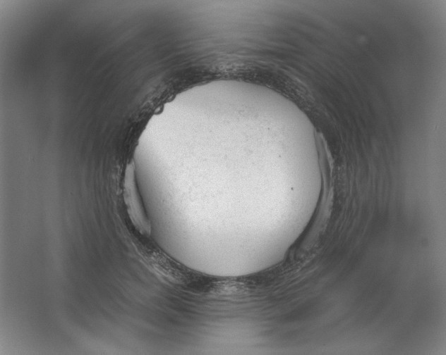X0000062150750200512301553