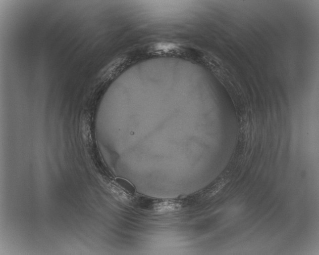 X0000062150754200512301553