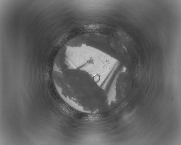 X0000062150758200512301553