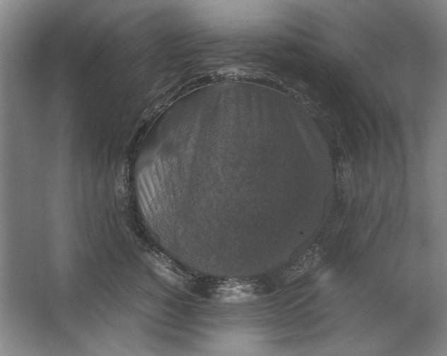 X0000062150760200512301553