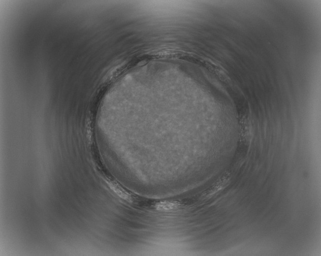 X0000062150762200512301553