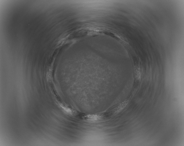 X0000062150766200512301553