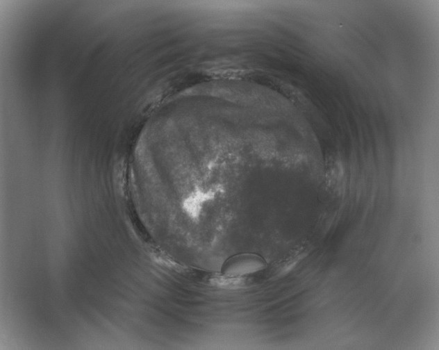 X0000062150767200512301553