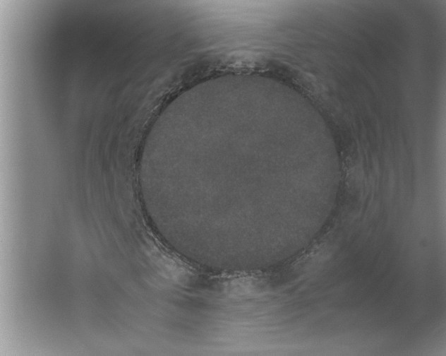 X0000062150769200512301552