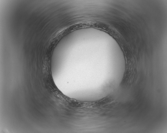 X0000062150773200512301552