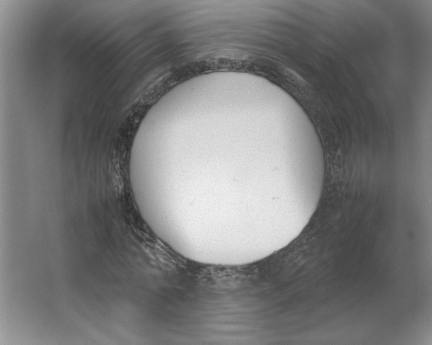 X0000062150774200512301552