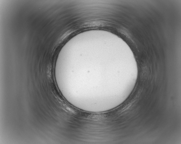 X0000062150778200512301552