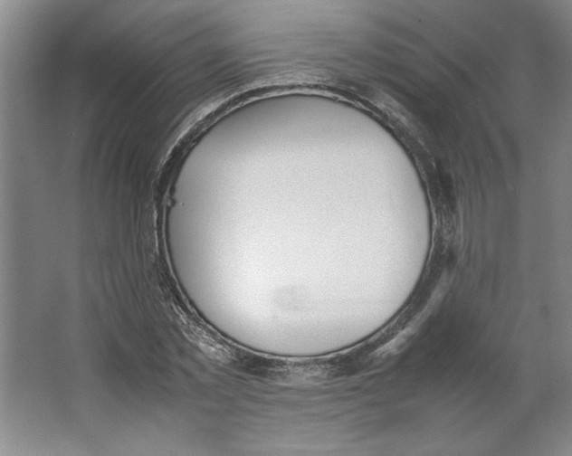 X0000062150781200512301552