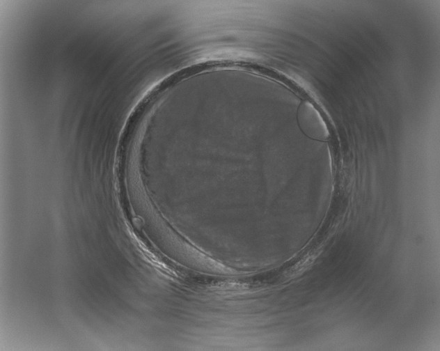 X0000062150783200512301552