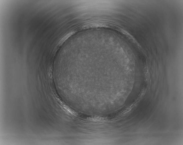 X0000062150785200512301552