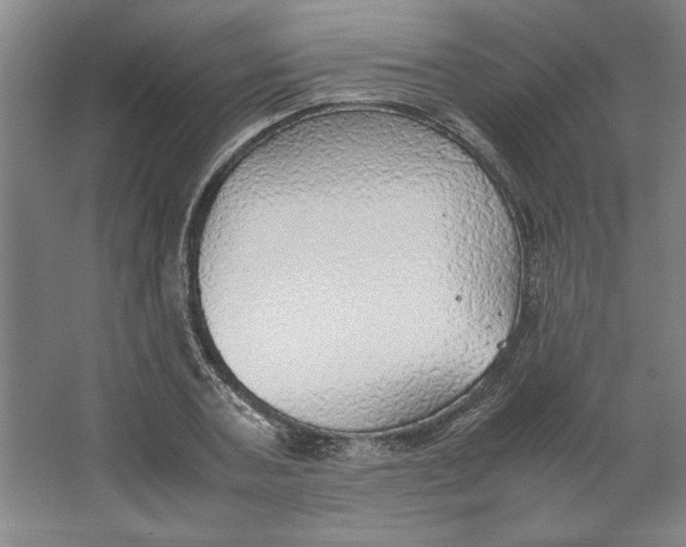 X0000062150787200512301552