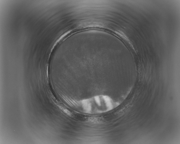 X0000062150790200512301552