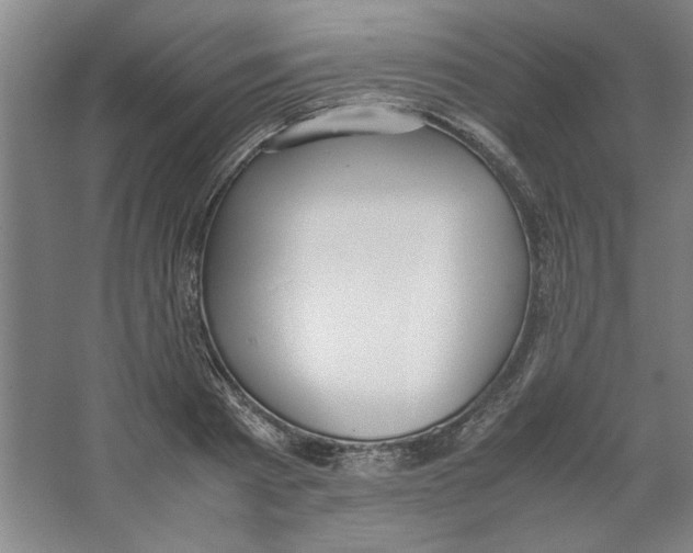 X0000062150793200512301552
