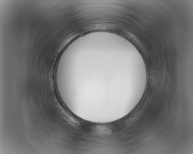 X0000062150794200512301552