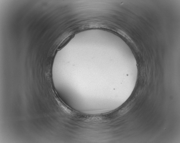 X0000062150801200512301552