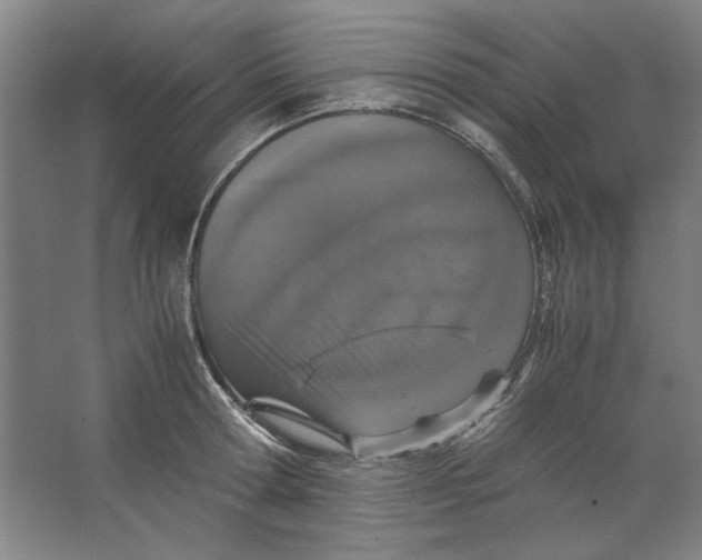 X0000062150802200512301552