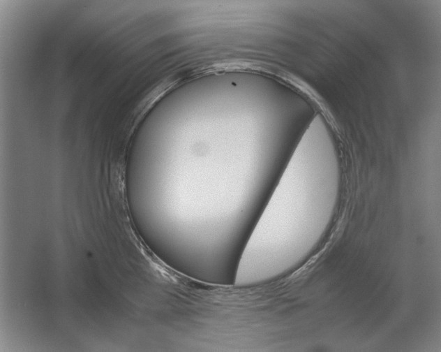 X0000062150809200512301551