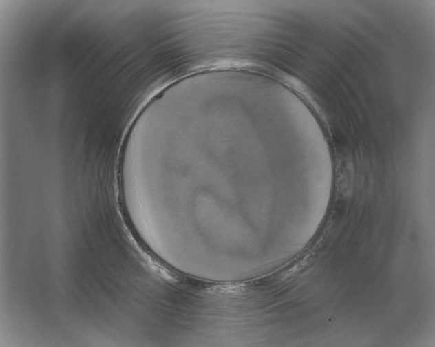 X0000062150810200512301551