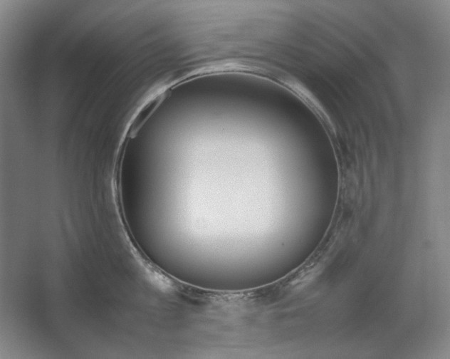 X0000062150813200512301551