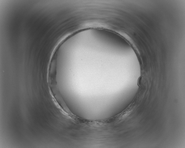 X0000062150815200512301551