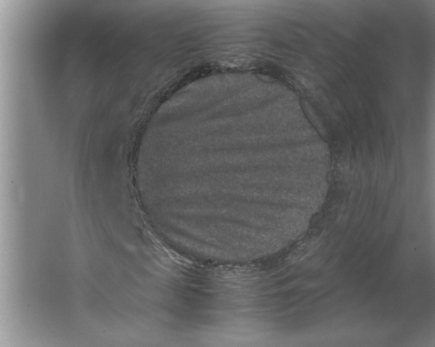 X0000062150817200512301551