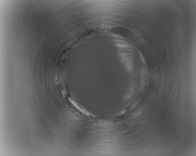 X0000062150818200512301551