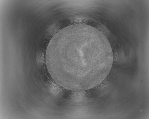 X0000062150820200512301551